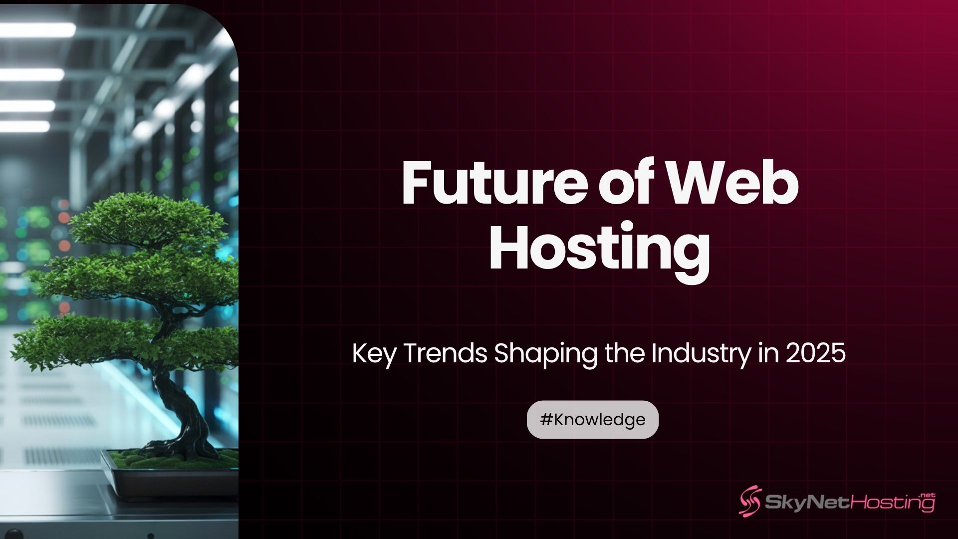 Future of Web Hosting: Key Trends Shaping the Industry in 2026