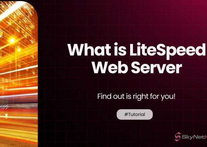 What is LiteSpeed web server? Benefits & Use Cases Explained
