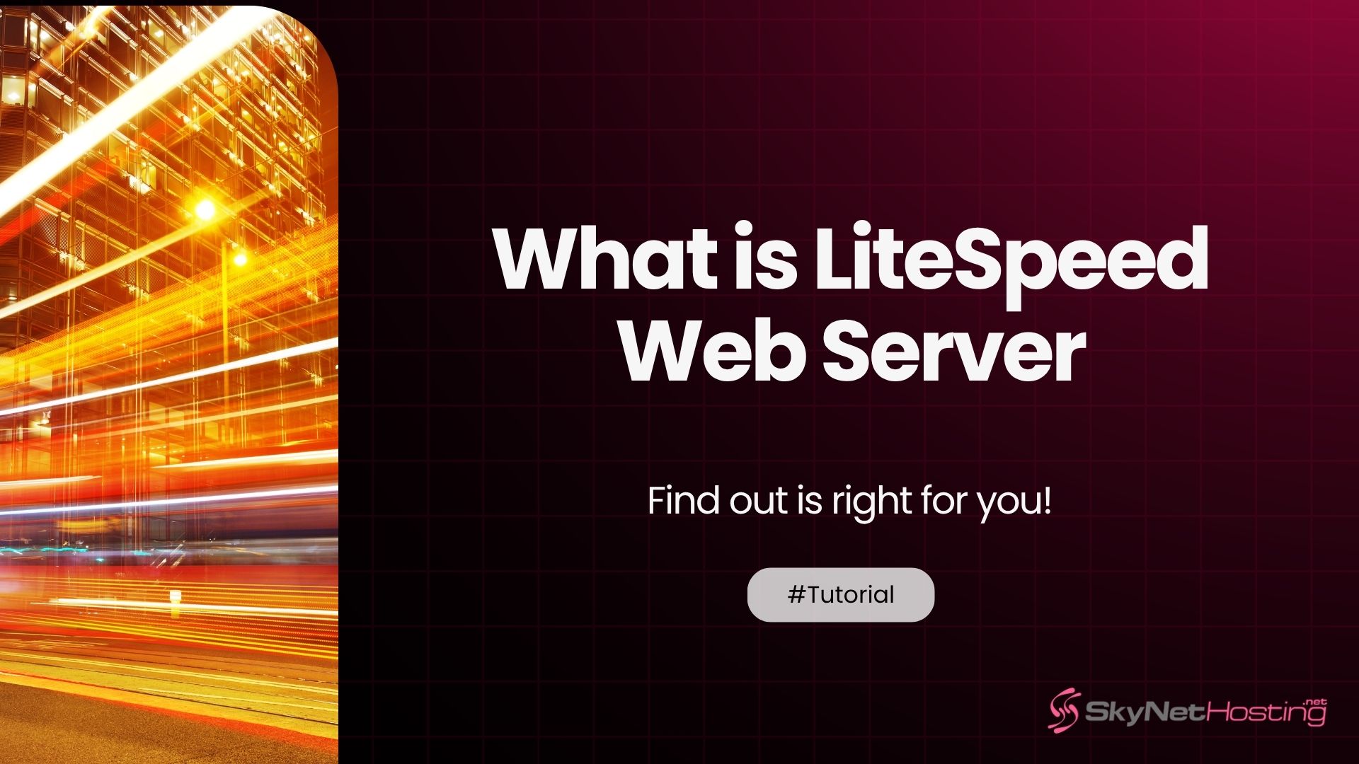 What is LiteSpeed web server? Benefits & Use Cases Explained