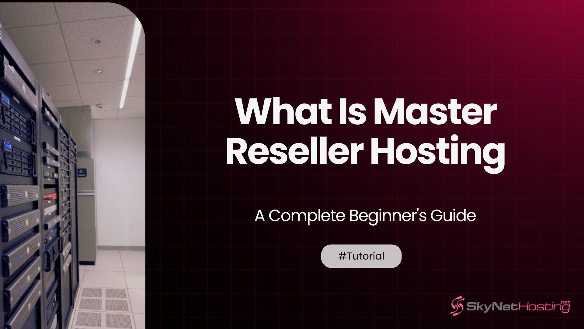 What Is Master Reseller Hosting? A Complete Beginner’s Guide