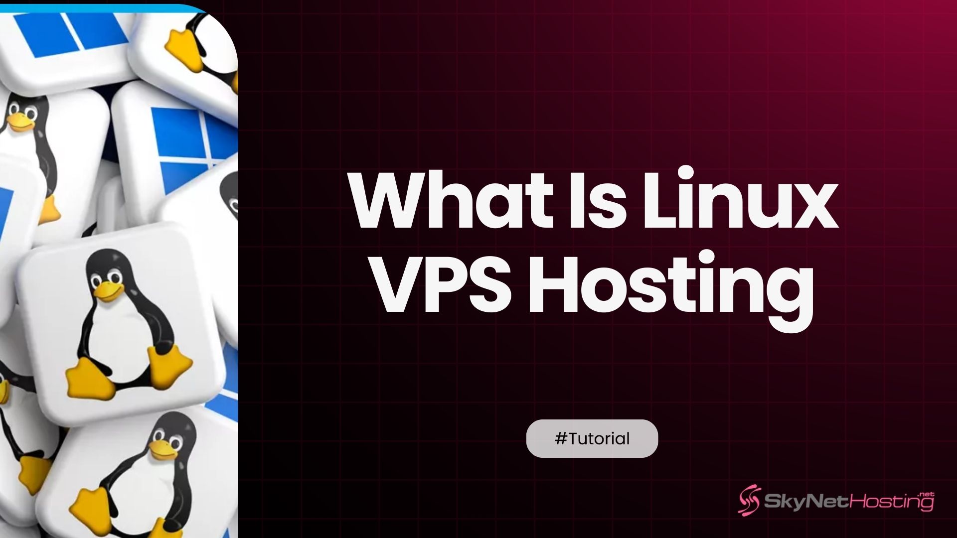What Is Linux VPS Hosting? A Beginner-Friendly Explanation